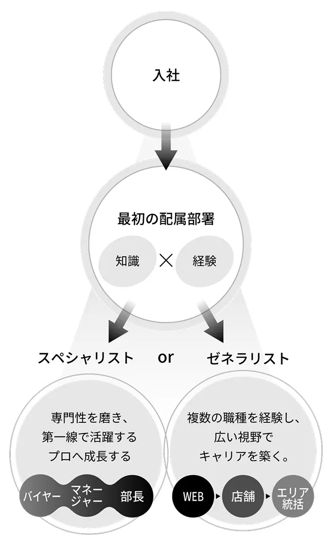 K-ブランドオフのキャリアステップ